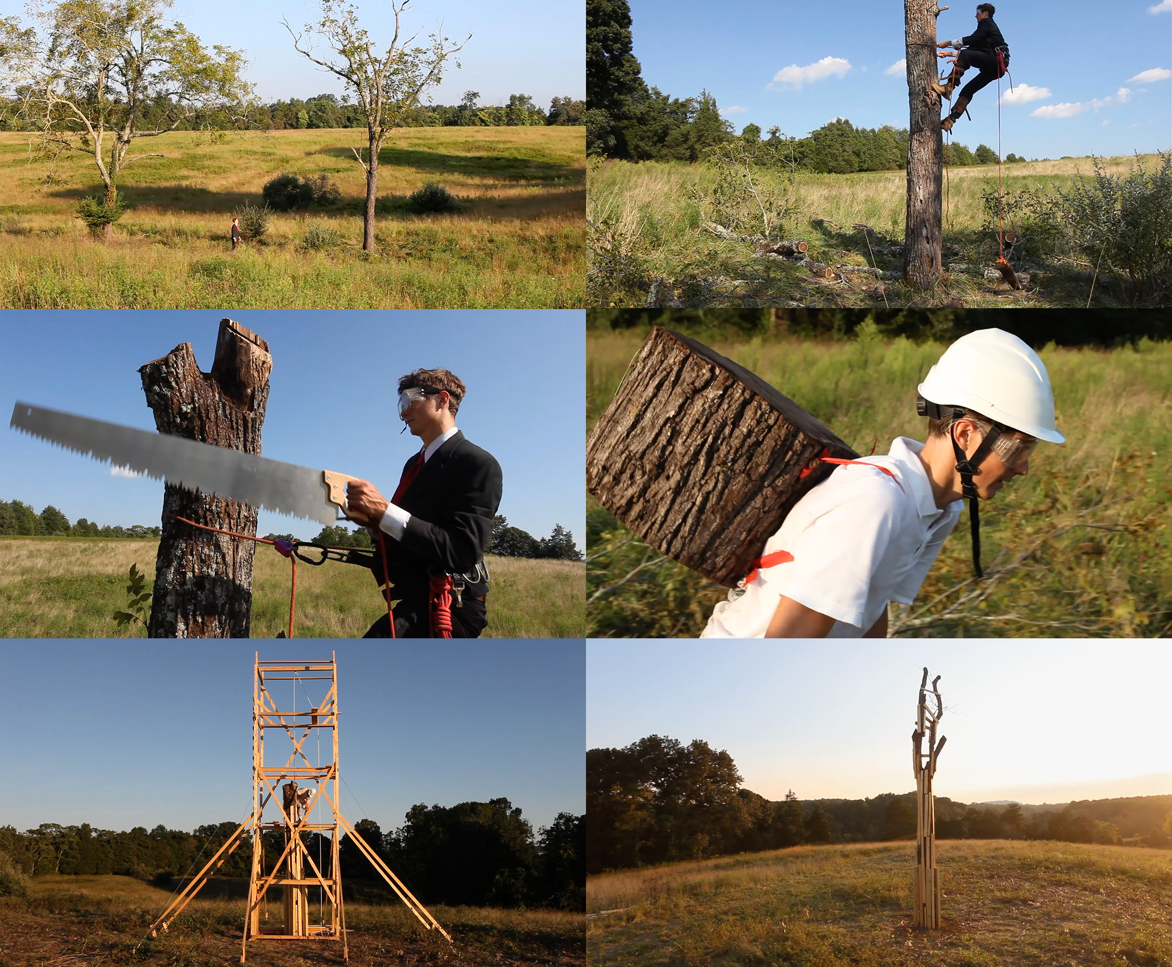 A grid of six photographs showing a person cutting down a tree in a field